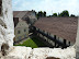 P1000995.JPG
