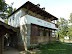 P1010184.JPG