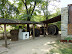 P1010204.JPG