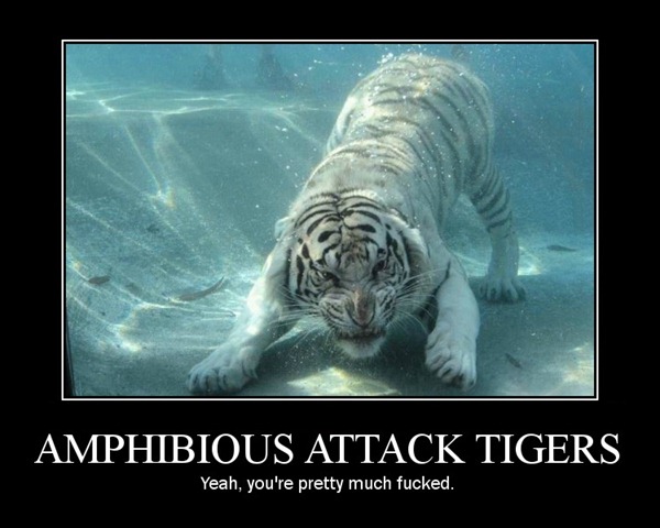[attack-tiger[3].jpg]