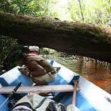foto007.jpg
