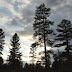 11-PN-14.JPG