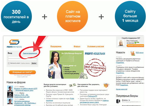 заработок Profit-Partner
