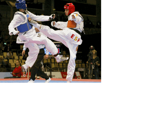 [Taekwondo5.gif]