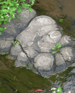 Stromatolite fossils in Eun Ho Li, Gyeong