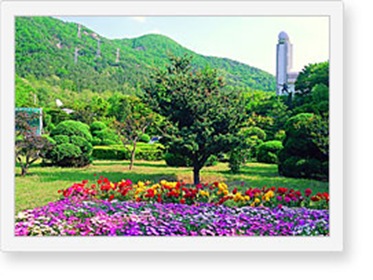 Daegu Mt. Apsan Park
