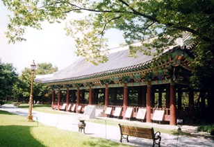 Daegu Gyeongsang-gamyeong Park 03