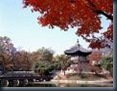 gyeongbok palace seoul