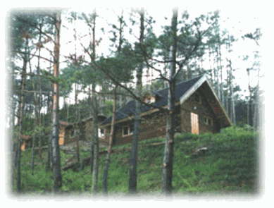 Uljin Gusugok natural rest-forest