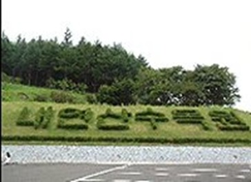 Pohang Mt. Naeyeon Arboretum