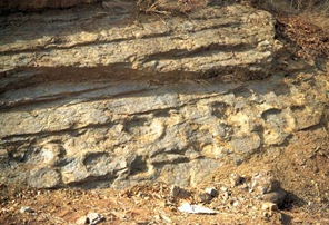 Uiseong Fossilized dinosaurs footprint of Jeo ri 04