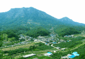 Uiseung Native Garlic Village