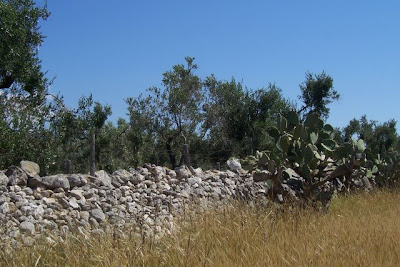 Manfredonia, Muretto a secco