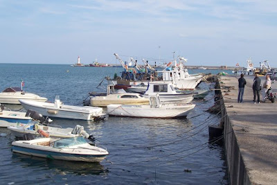 Manfredonia, Barche nel porto