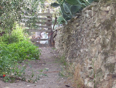 Manfredonia, Orto in loc. S. Tecchia