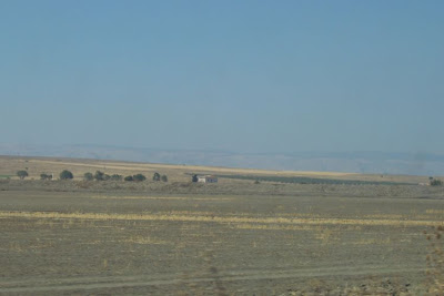 Manfredonia, Paesaggio di pianura in estate