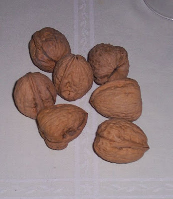 Juglans regia,
Carpathian walnut,
echte Walnu&szlig;,
English walnut,
hu tao,
Madeira walnut,
Noce comune,
nogal com&uacute;n,
nogal europeo,
nogal ingl&eacute;s,
nogueira-comum,
nogueira-europ&eacute;ia,
noyer commun,
Persian walnut,
Walnut