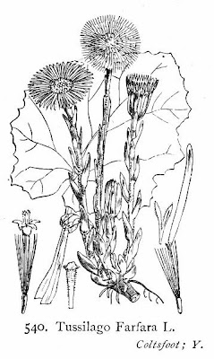 Farfugio