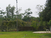 IMG_3743.JPG