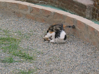 IMG_2629.JPG