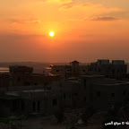 صور من الفريديس 2010