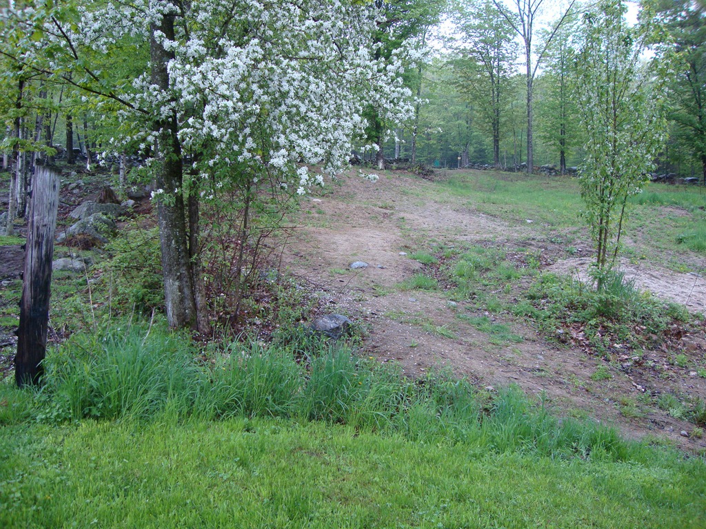 [DSC040343.jpg]