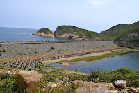 DSC06857.JPG Photo