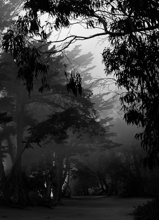 "Fog on the Mesa" by George Welik