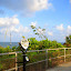 Fort DeSoto Park