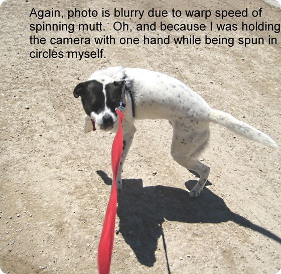 spinning