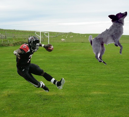 [kick[4].jpg]
