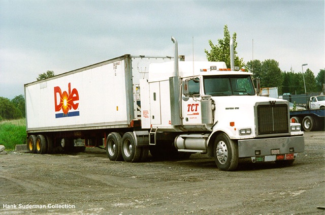 [tct_dole_wstrn_str12.jpg]