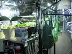 Entire Set-up, another view, 12 Apr 2009