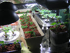 Entire Set-up 12 Apr 2009