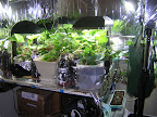 May04_Set-up