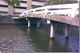 Chinatown Bridge