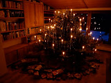 P1070077.JPG