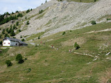 IMG_0228.JPG