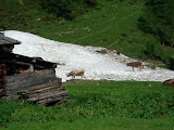 buhlenhorn_220608_kr (5).jpg