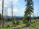 brocken_130508 (26).jpg