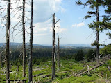 brocken_130508 (27).jpg