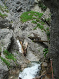 montafon_juli08 (3)SN.JPG