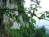 montafon_juli08SN.JPG