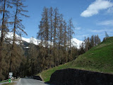 mtbdav_4508 (2)sn_.jpg