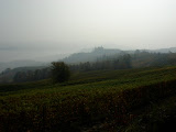 DSC05125.JPG