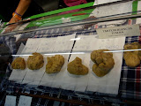 DSC05164.JPG