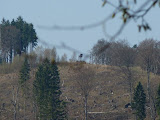 P1000196.JPG