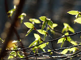 P1000471.JPG