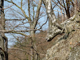 P1000218.JPG