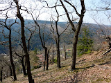P1000228.JPG